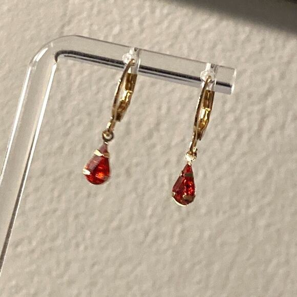 Hoop Earrings - Picture 1 of 3